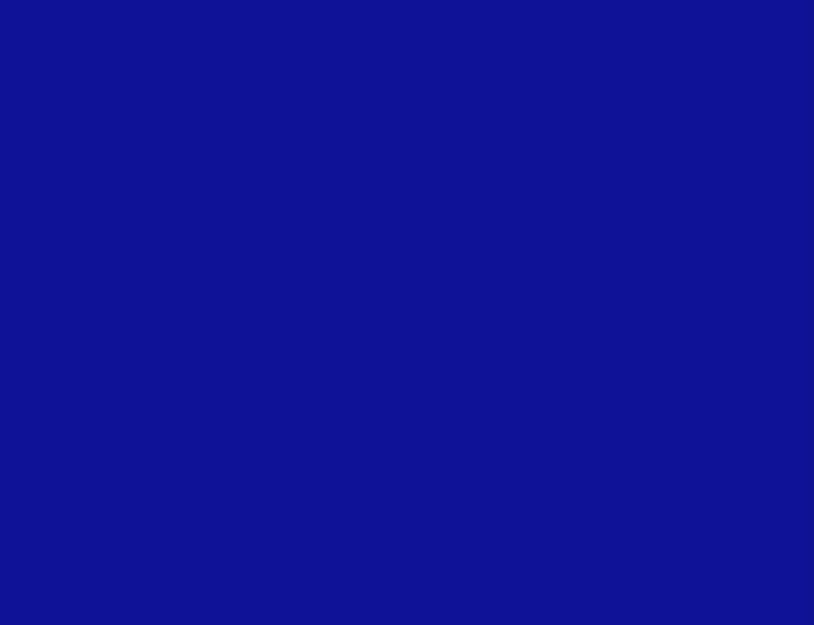 Portfolio item 4