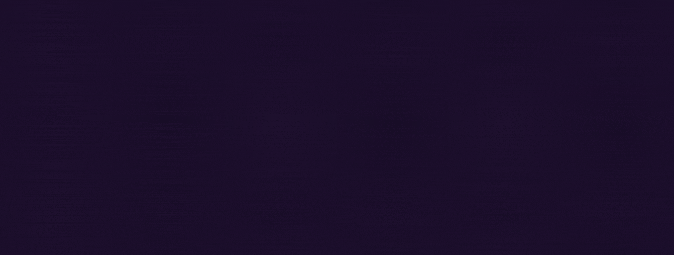 Portfolio item 5
